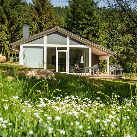 4 Personen Mit Sauna F1h5 *