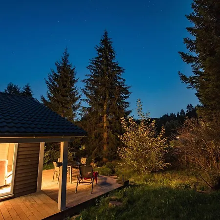 4 Personen Mit Sauna F1h5 Holiday home *